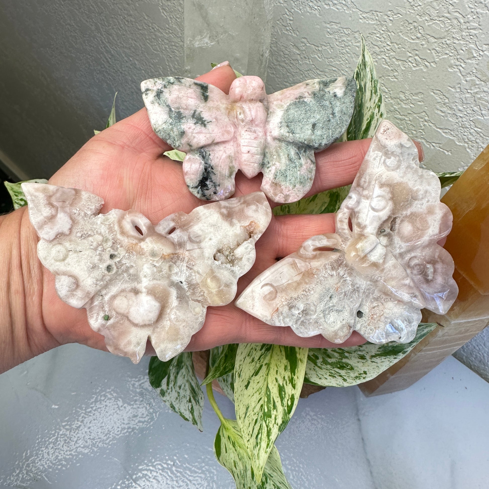 Flower Agate Butterfly - Intuitive Pick - 3.4-3.7 inch wing span - Katie's Mystic Crystals