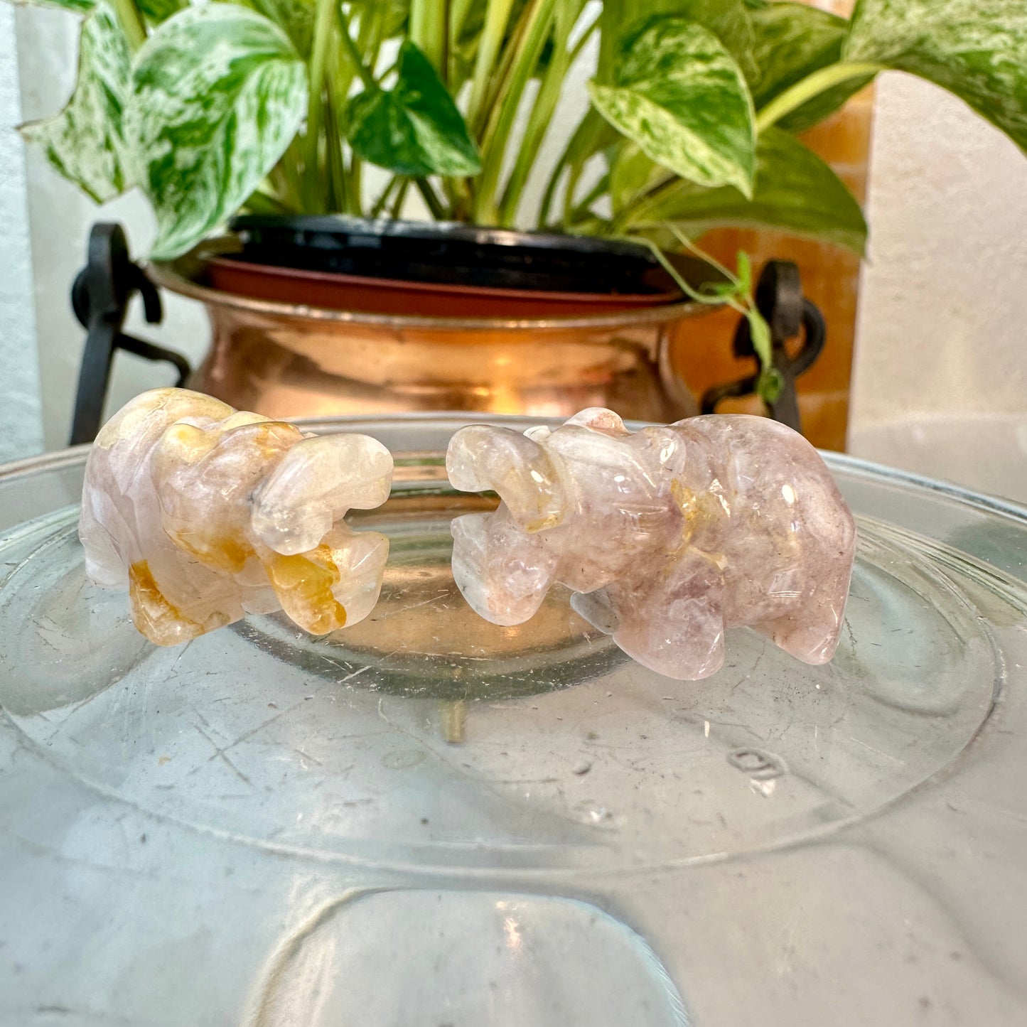 Micro Mini Crystal Hippos — Under 1 Inch
Gentle Strength • Emotional Balance • Playful Spirit