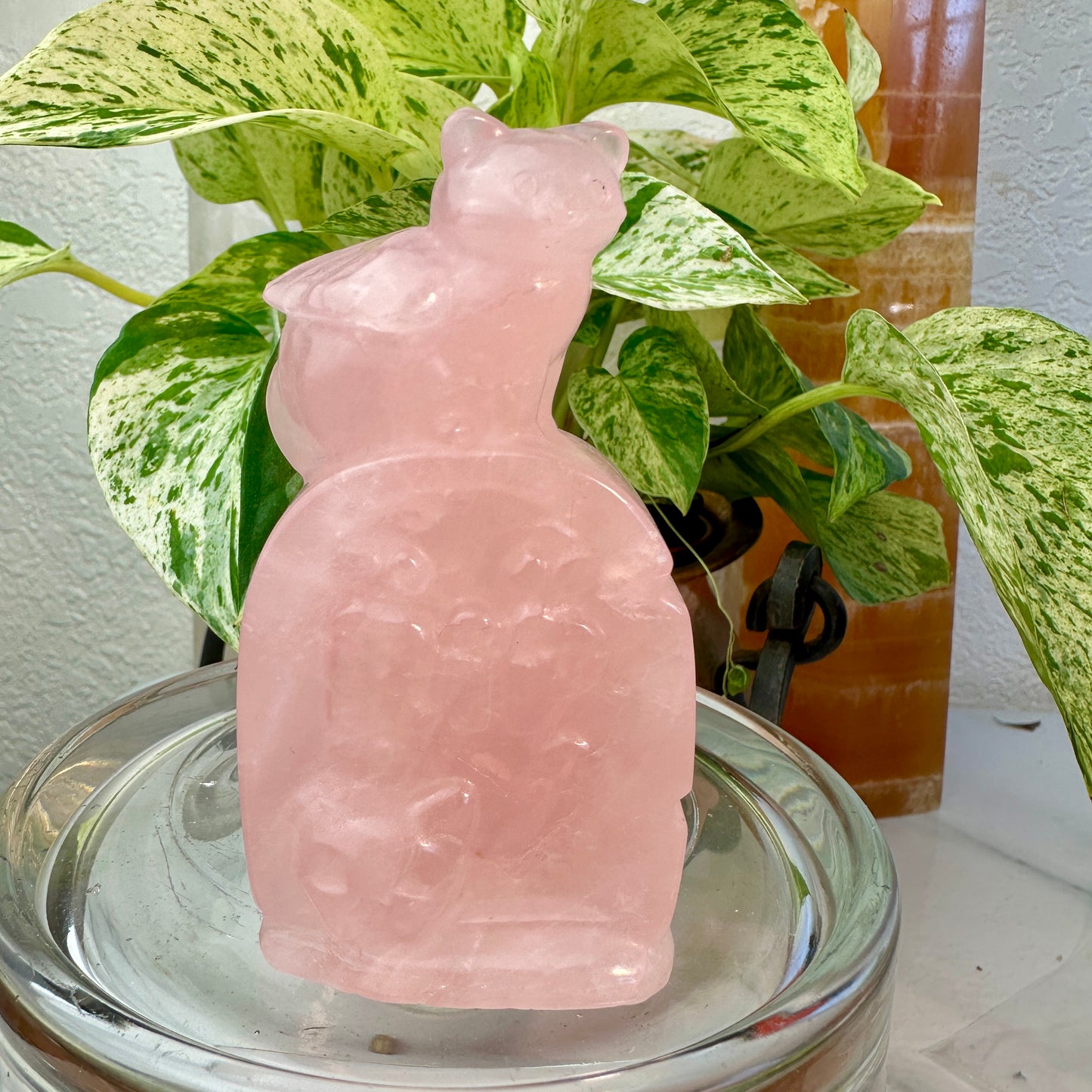 Crystal Cat Memorial Tombstone
Honor | Love | Memory