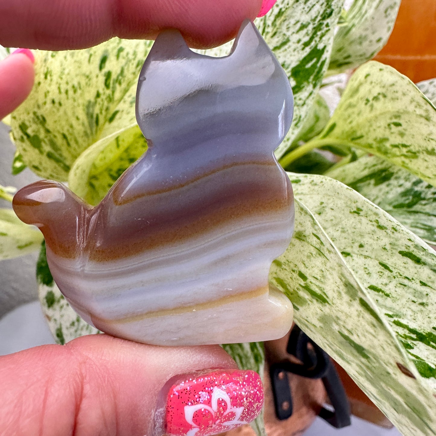 Agate Slab Cat