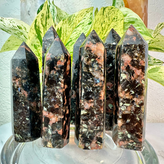 Quartz Tourmaline and Mica Points — 3.4 to 4 inch
Protection | Grounding | Energy Amplification
✨ Intuitive Pick ✨