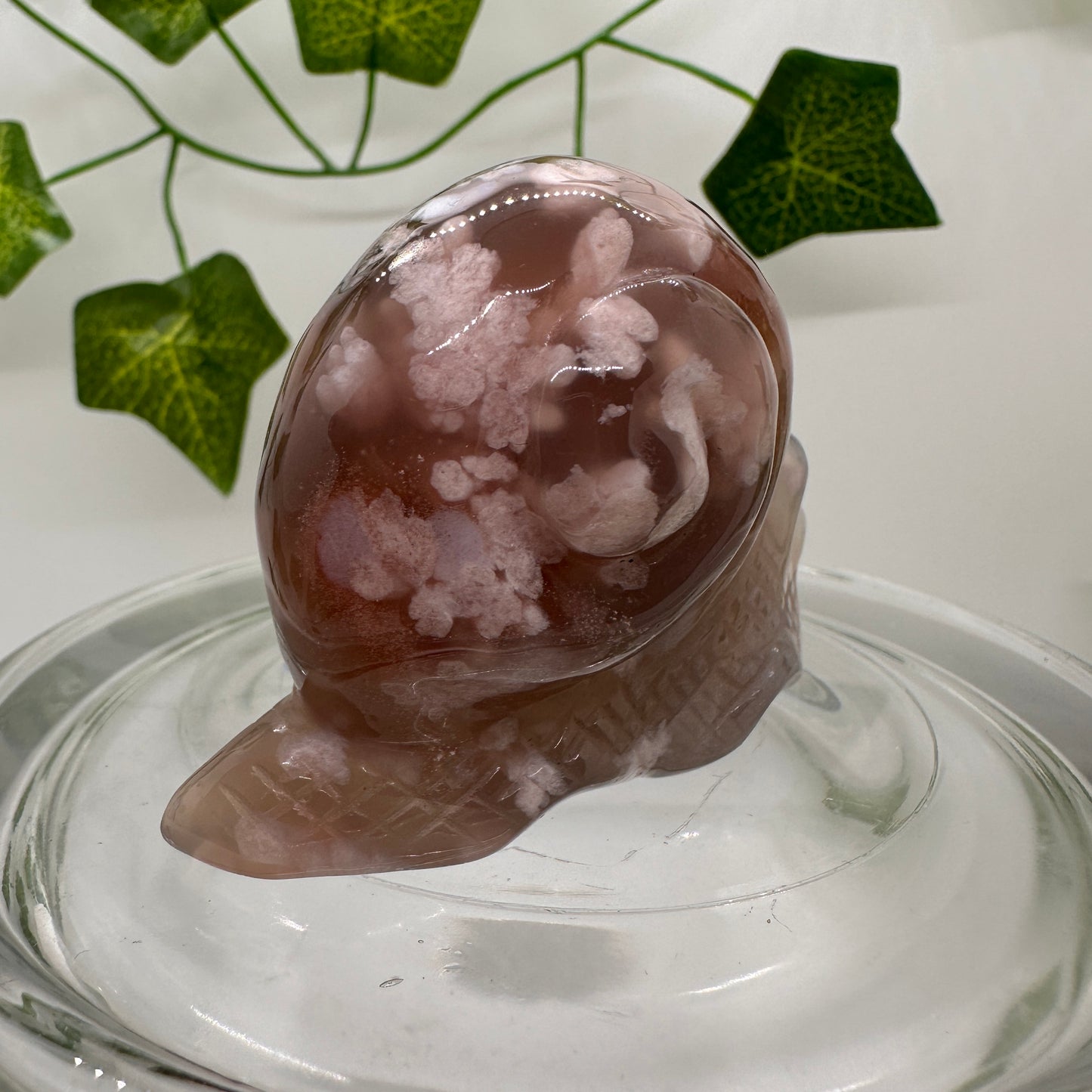 Flower Agate Snail (A) - Katie's Mystic Crystals