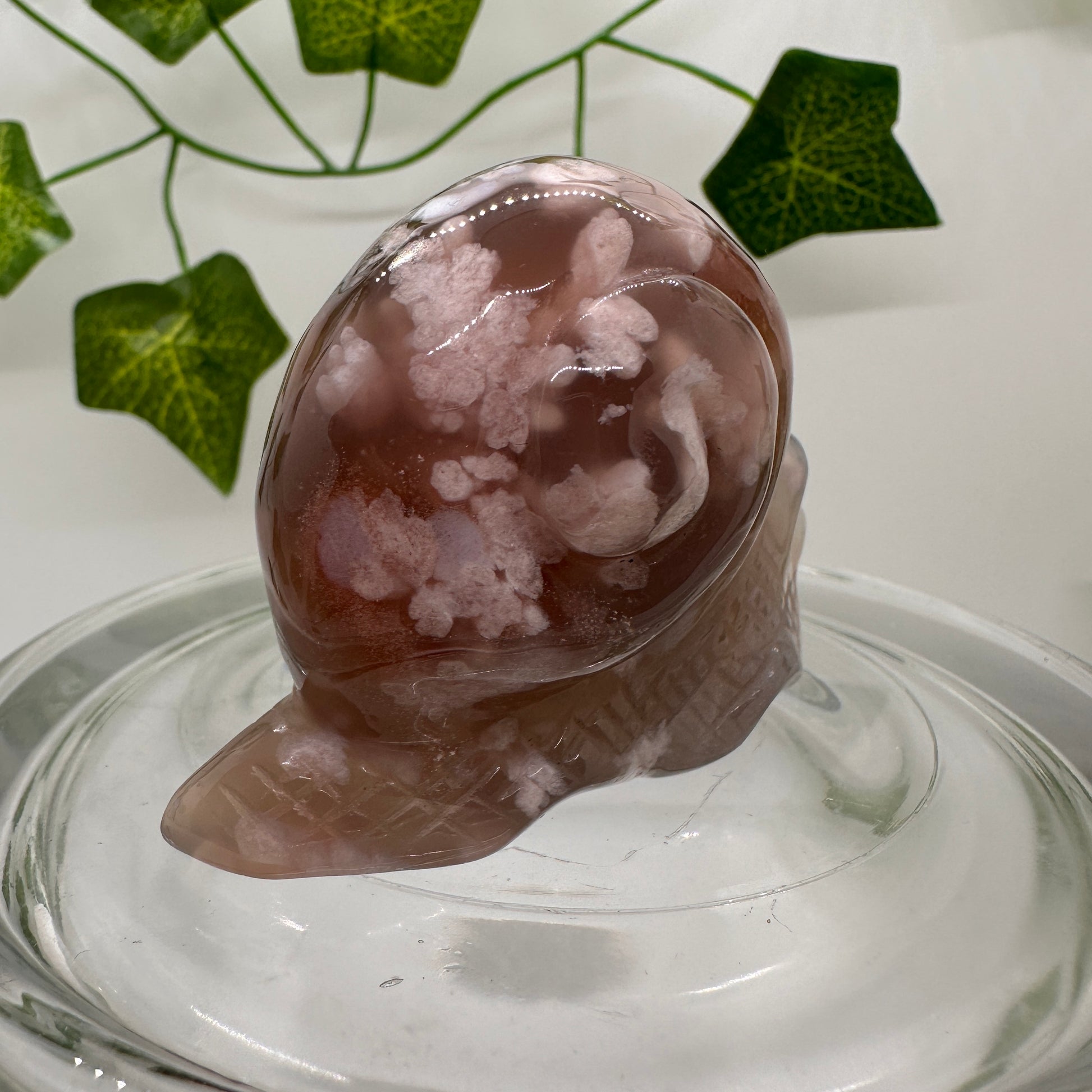 Flower Agate Snail (A) - Katie's Mystic Crystals