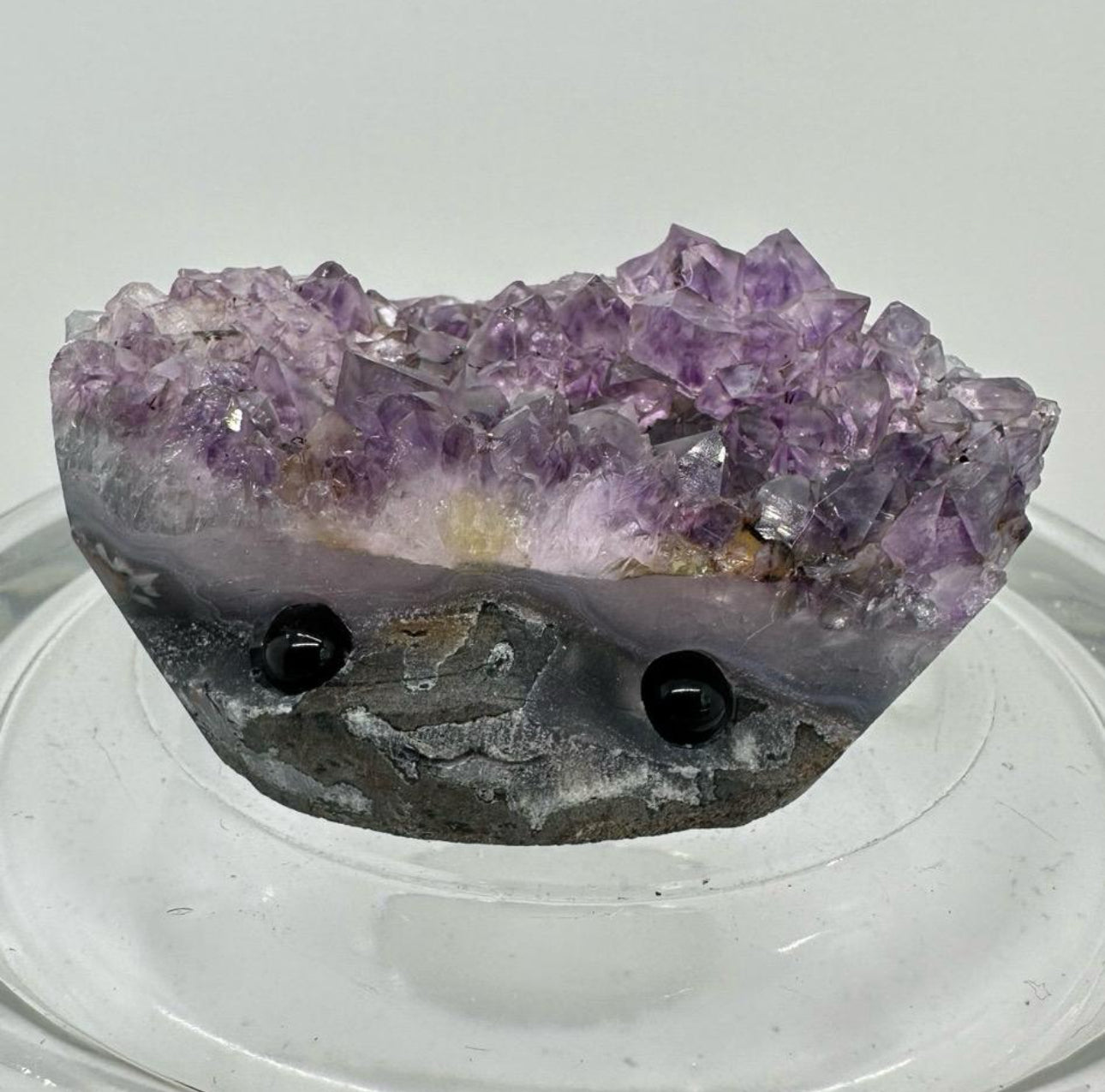 Crystal Critters - Specimen