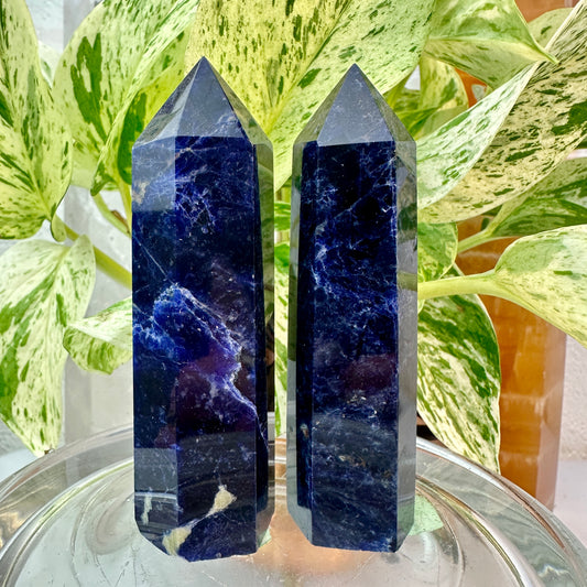 High Grade Sodalite Points — 3.4 inch
Truth | Intuition | Mental Clarity