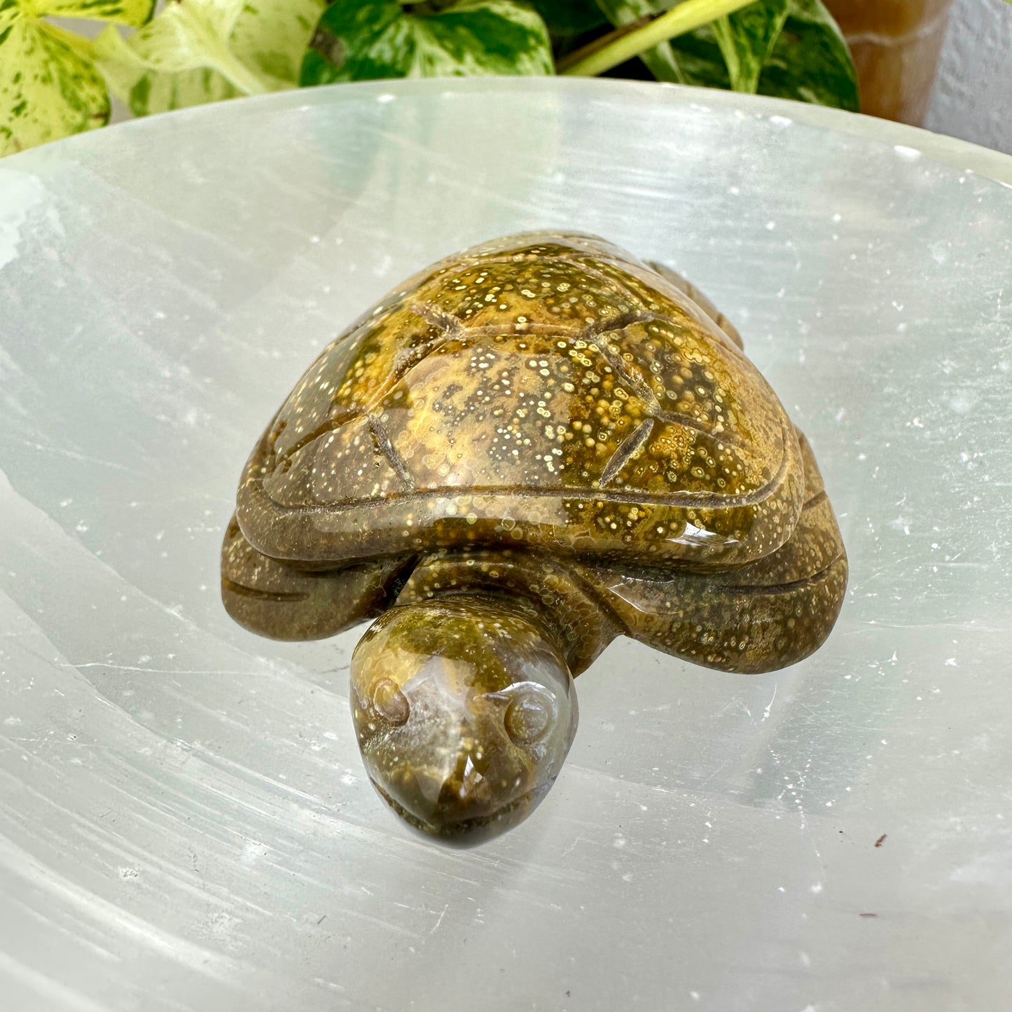 Orbicular Jasper Sea Turtle — 3.4 inch
Patience | Protection | Emotional Flow