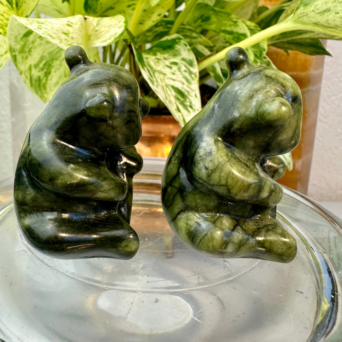 Serpentine Panda — 2 inch
Healing | Protection | Earth Wisdom