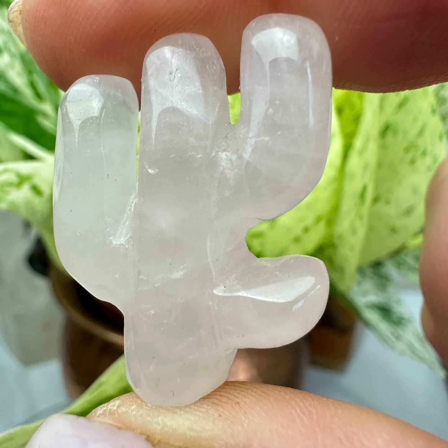 Mini Crystal Amimal Carvings