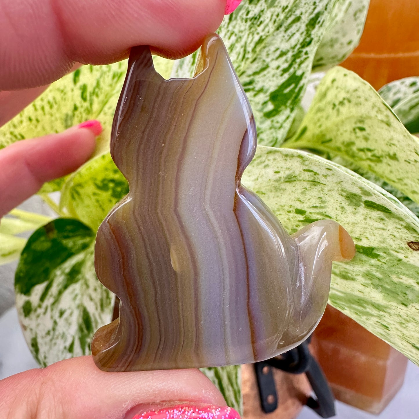 Agate Slab Cat