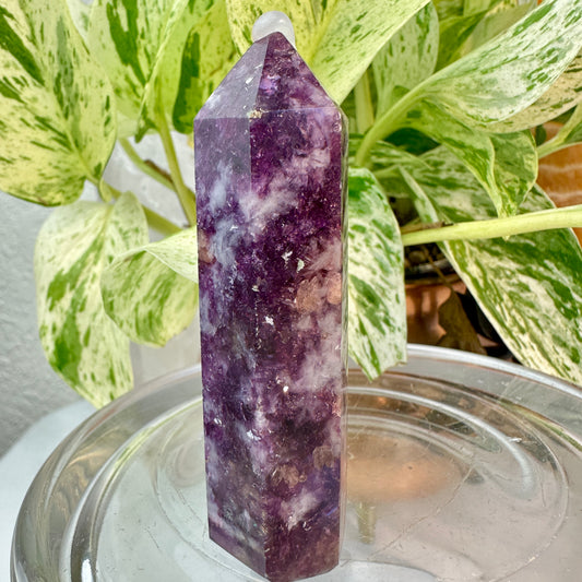 Lithium Mica & Pink Tourmaline Point — 3 inch
Emotional Healing | Self-Love | Gentle Balance
