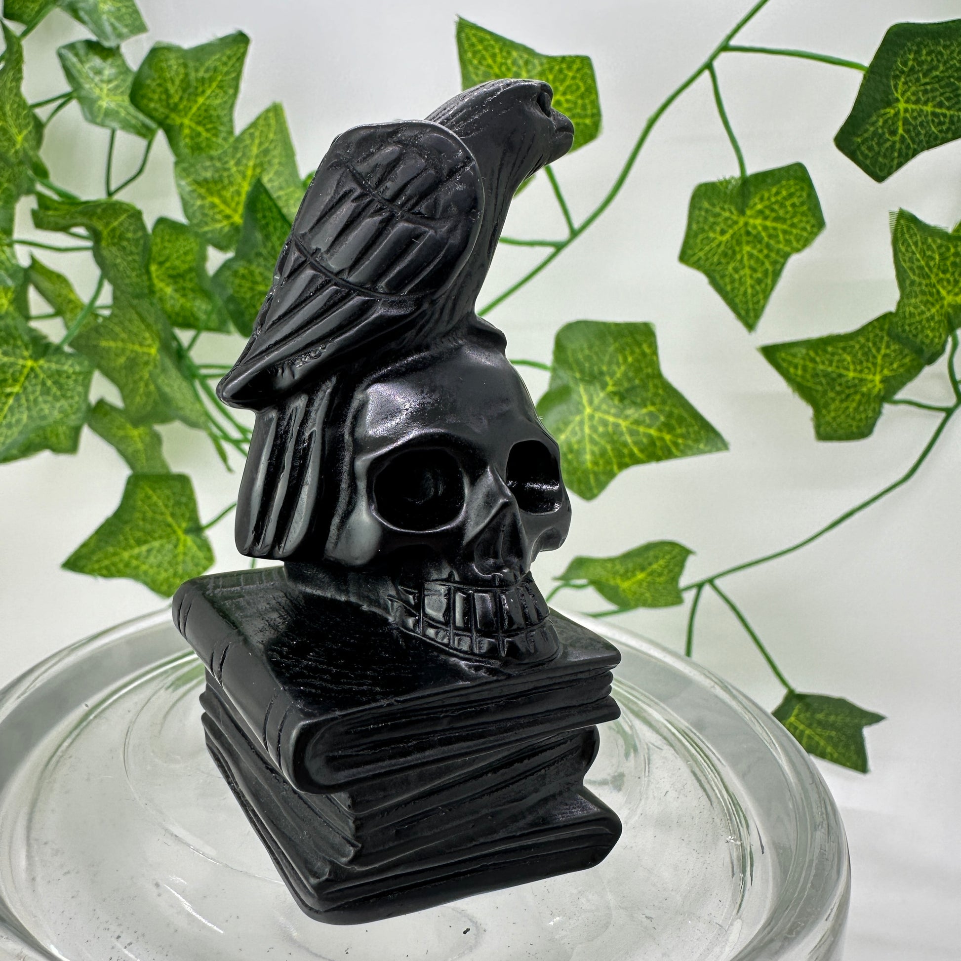 Raven Skull Book Carving - Katie's Mystic Crystals