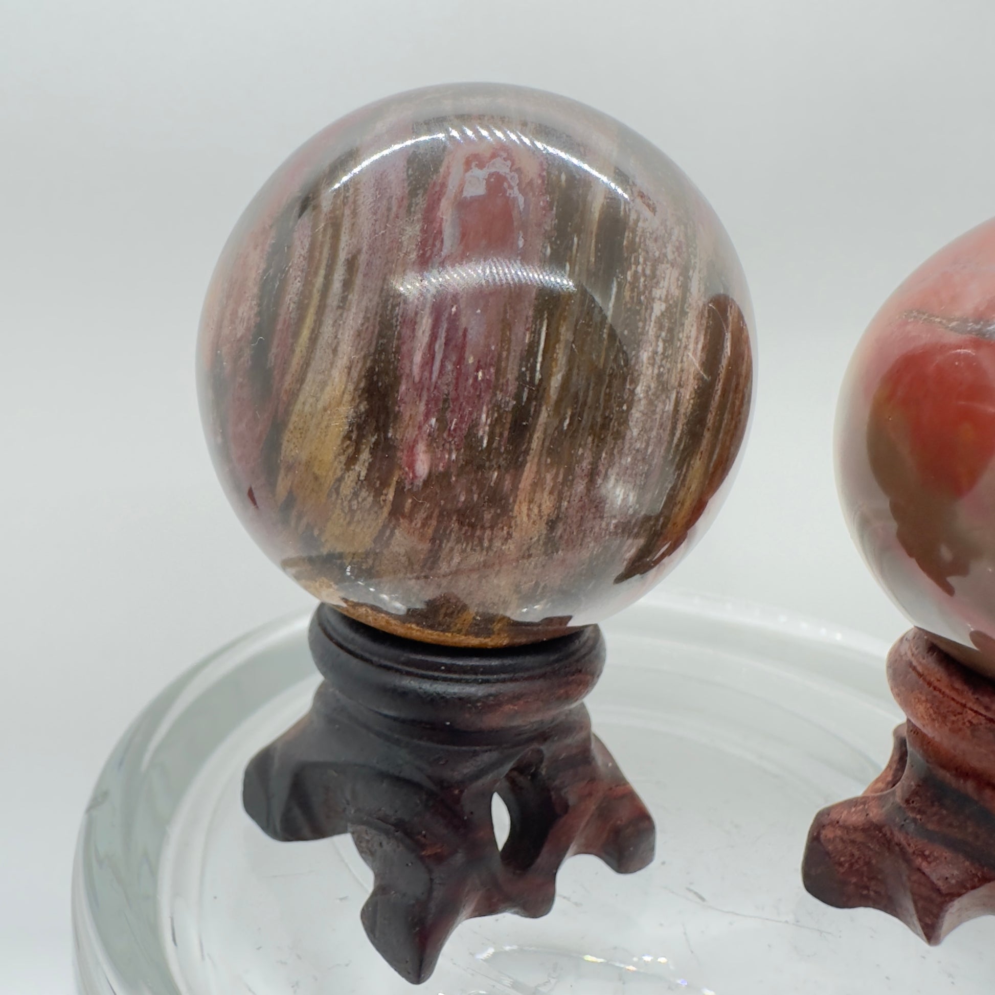 Petrified Wood Spheres - Katie's Mystic Crystals