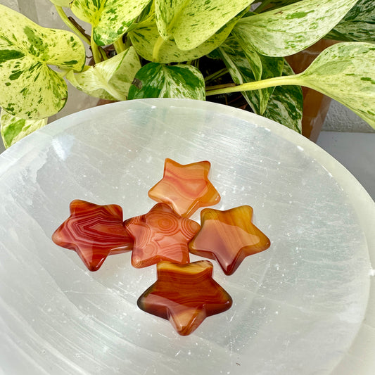 Banded Carnelian Stars — 1 inch
Motivation | Vitality | Creative Fire