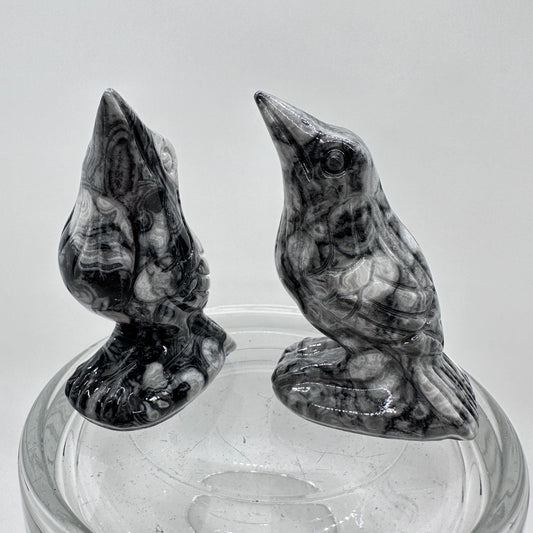 Criniod Fossil Baby Crow