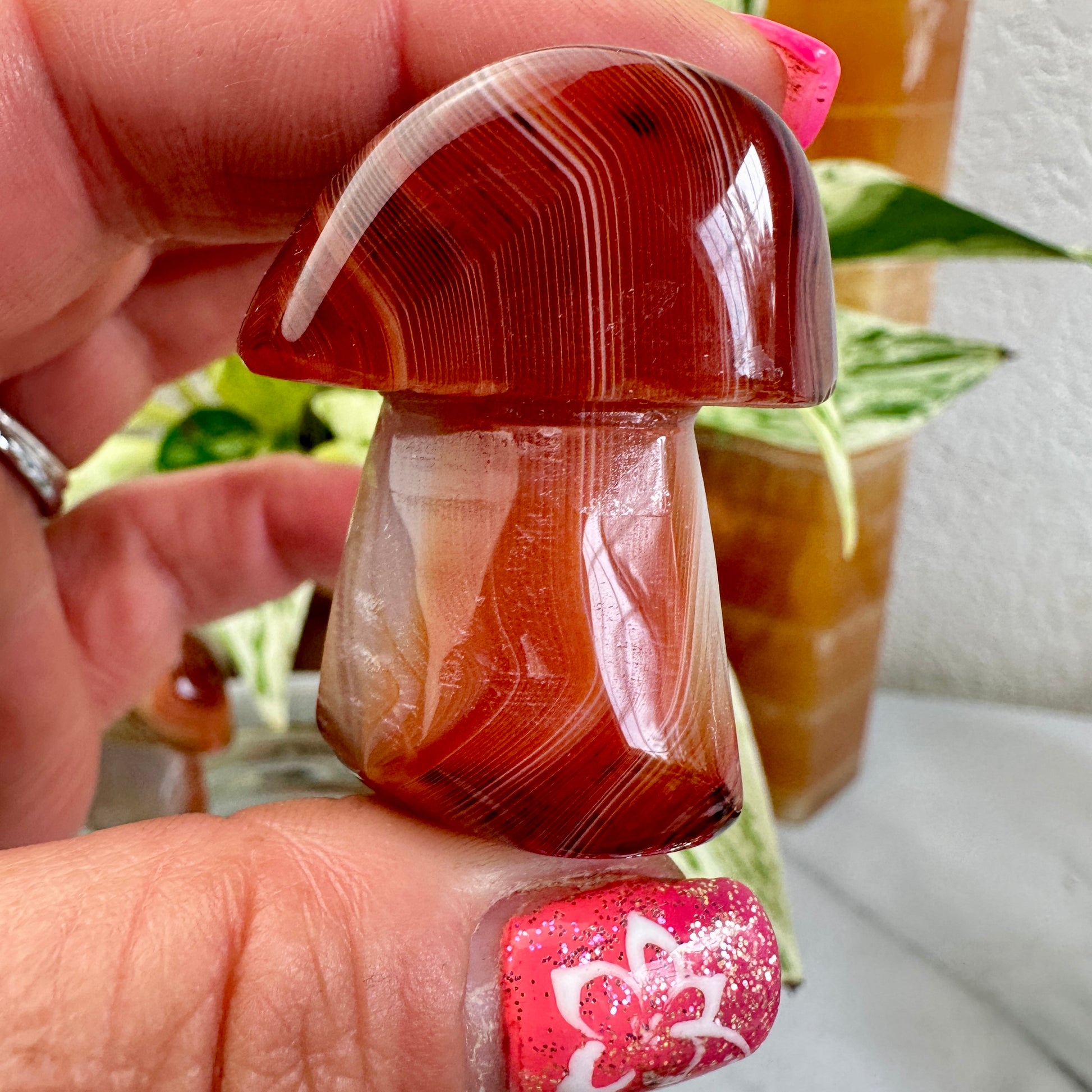 Sardonyx Mushrooms - Katie's Mystic Crystals