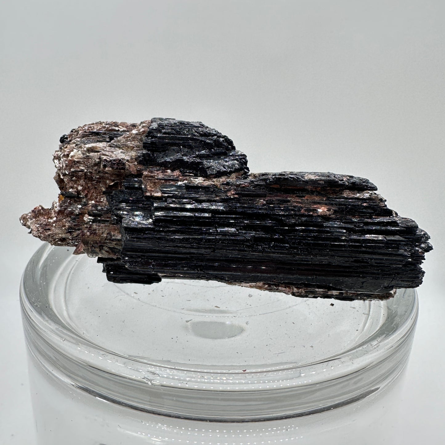 Black Tourmaline and Golden Mica Specimen - Katie's Mystic Crystals