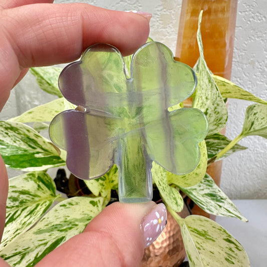 Fluorite Clover - 2 inch - Katie's Mystic Crystals