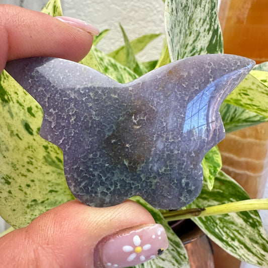 Grape Agate Butterfly - 2.2 Inch