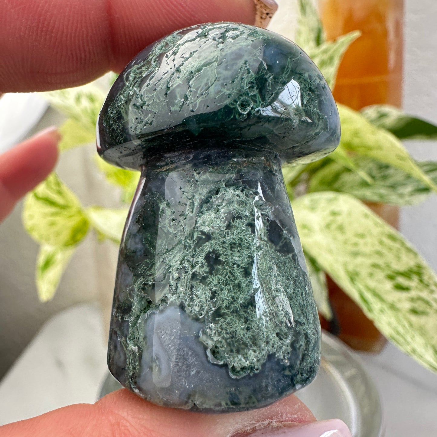 Moss Agate Mushrooms
Growth | Earth Energy | Emotional Balance