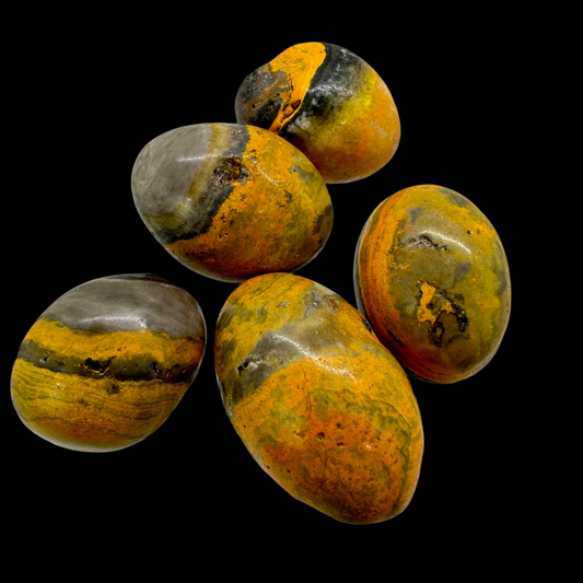 Bumblebee Jasper Tumbles