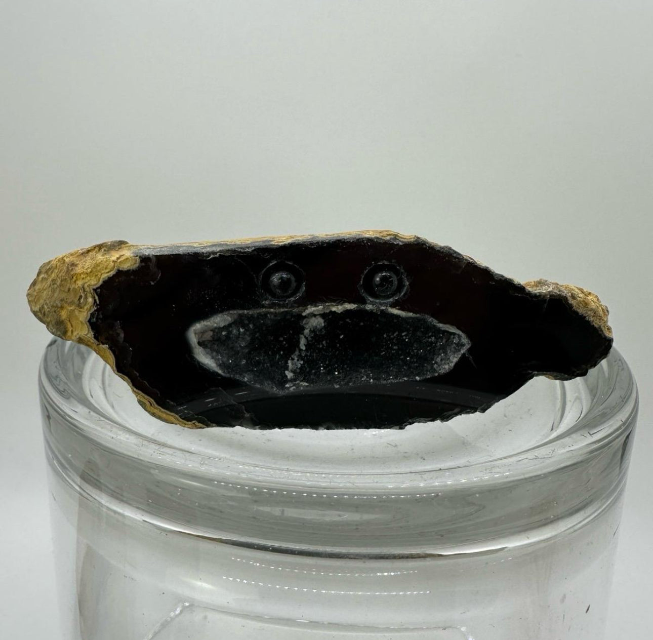 Crystal Critters- Geodes