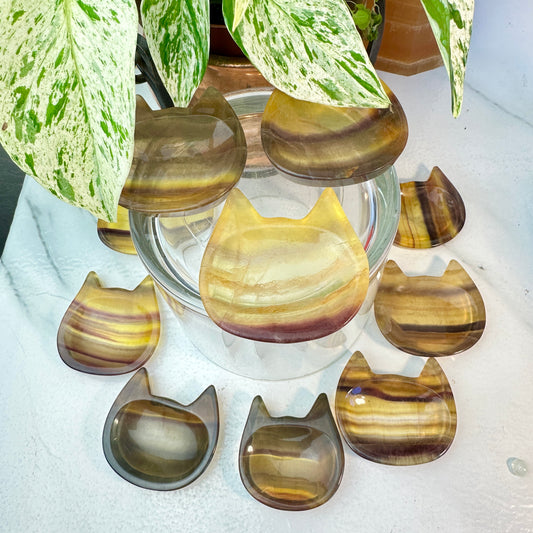Yellow Banded Fluorite Cat Head Dishes — Small | Intuitive Pick
Confidence | Clarity | Solar Joy