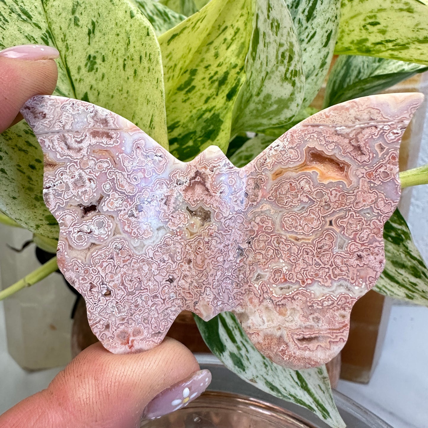 Crazy Lace Agate Butterfly