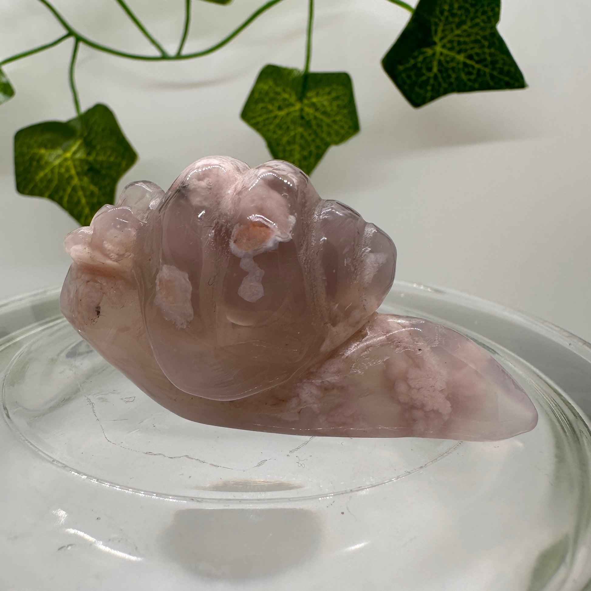 Flower Agate Snail (B) - Katie's Mystic Crystals