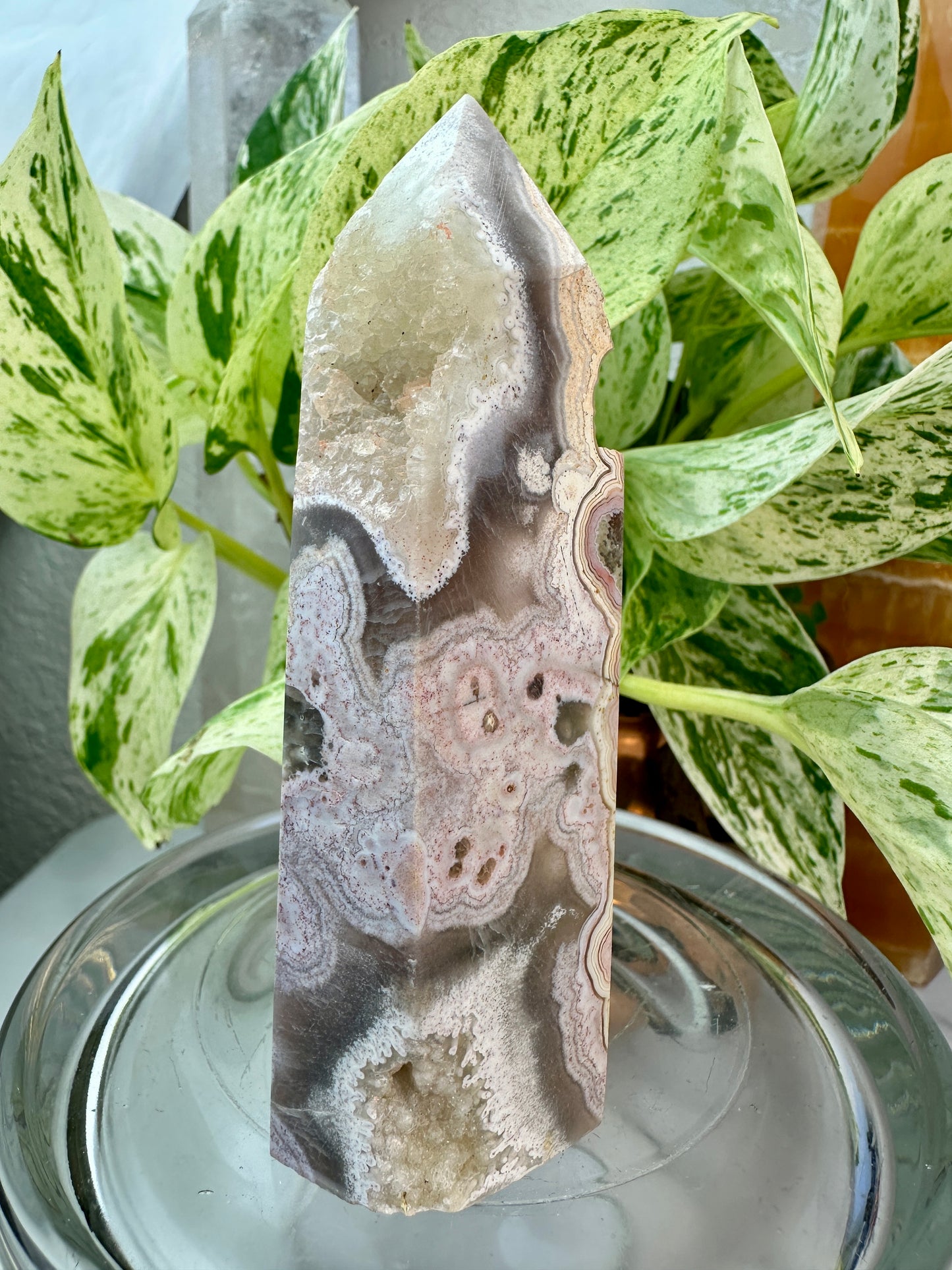 Crazy Lace Agate Points – You Pick
Joy | Focus | Inner Stability