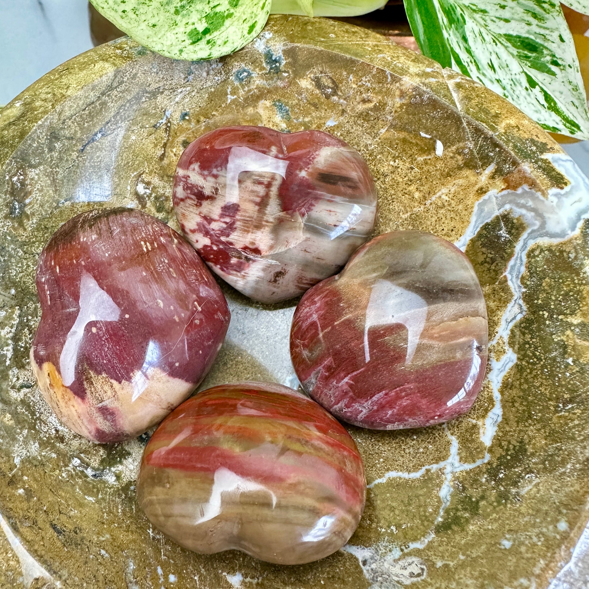 Petrified Wood Hearts - 1.2-1.5 Inch - Katie's Mystic Crystals