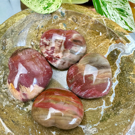 Petrified Wood Hearts - 1.2-1.5 Inch - Katie's Mystic Crystals