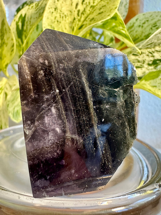 Pyrite in Fluorite Raw Edge Tower — D
2.3 in tall × 1.7 in wide × 0.9 in thick | 5 oz
Focus | Protection | Abundance Mindset - Katie's Mystic Crystals