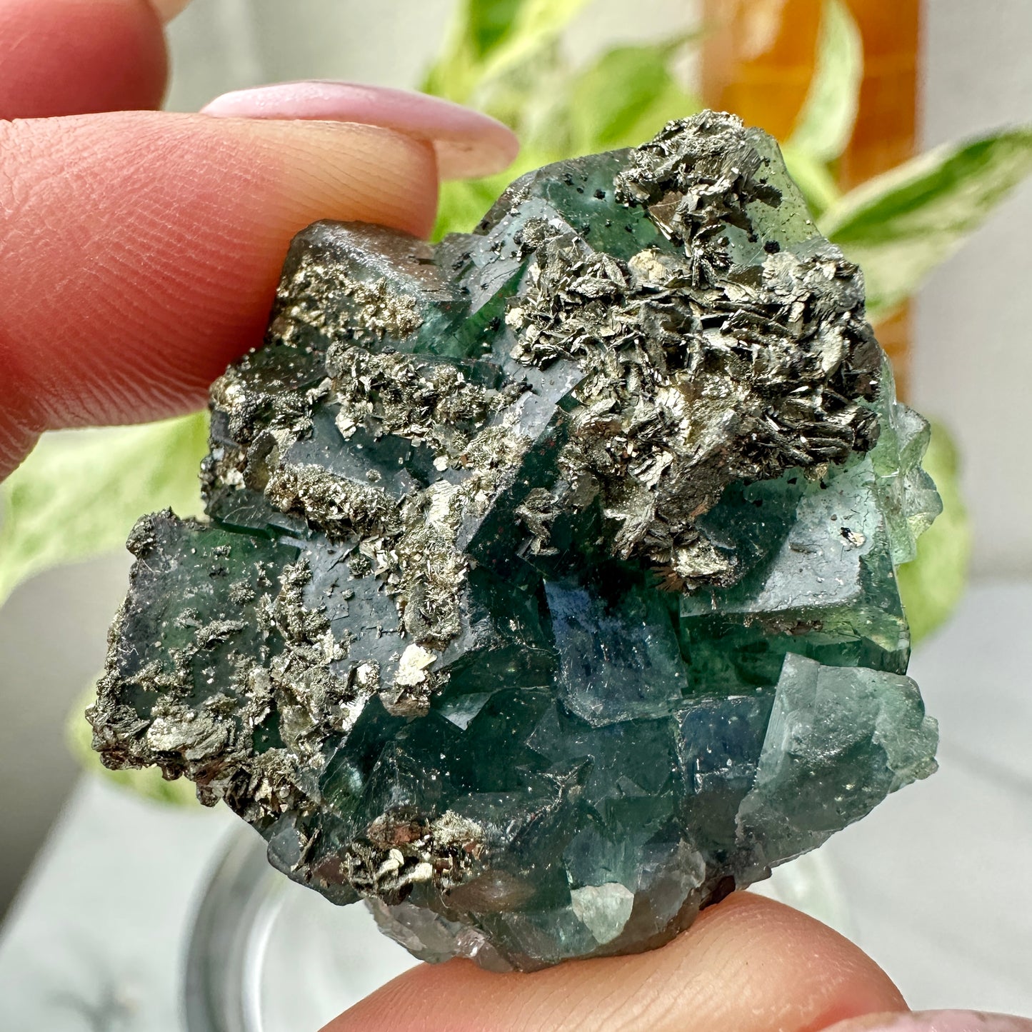 Cubic Blue-Green Fluorite with Natural Pyrite Specimens — Energetic Alchemy in Crystal Form