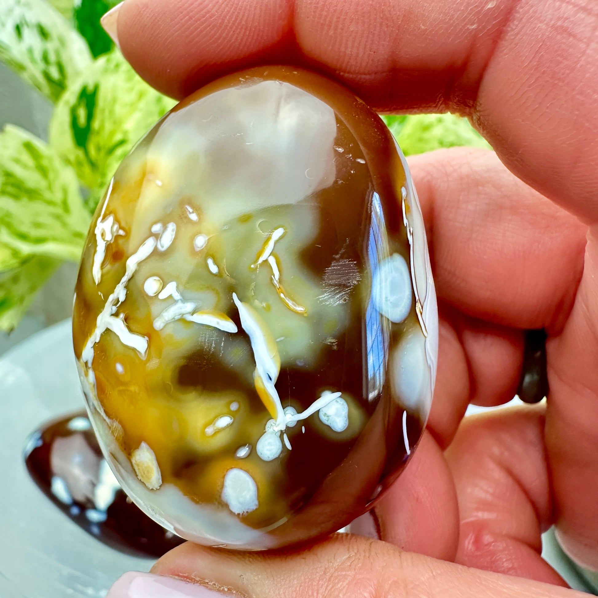 Carnelian Orca Agate Palm Stone - Katie's Mystic Crystals