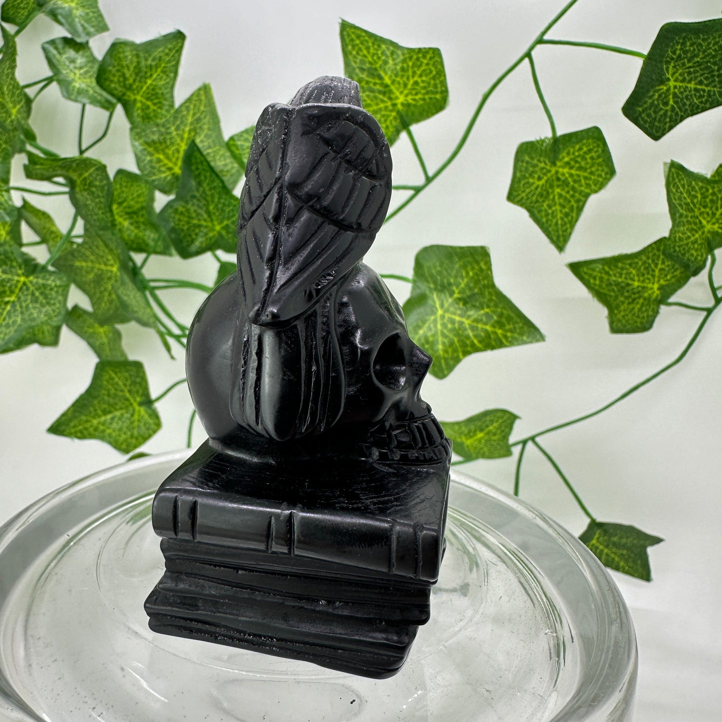 Raven Skull Book Carving - Katie's Mystic Crystals