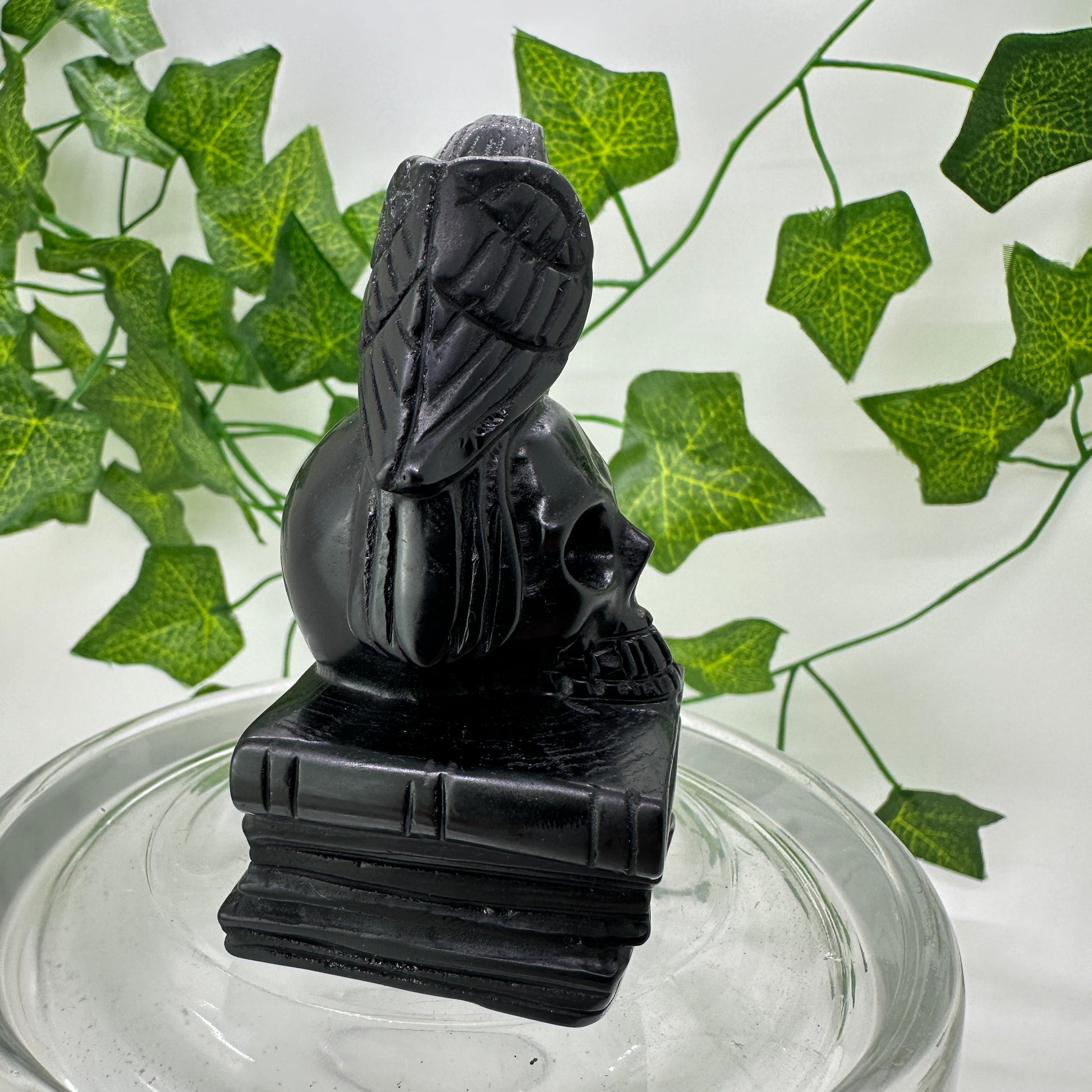 Raven Skull Book Carving - Katie's Mystic Crystals