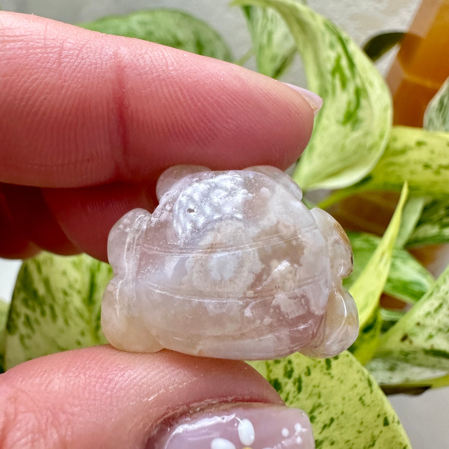 Mini Flower Agate Crabs - 1 inch - Katie's Mystic Crystals