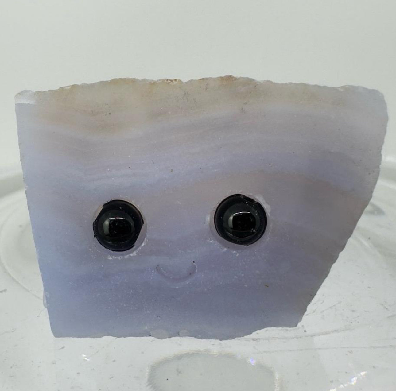 Crystal Critters - Specimen