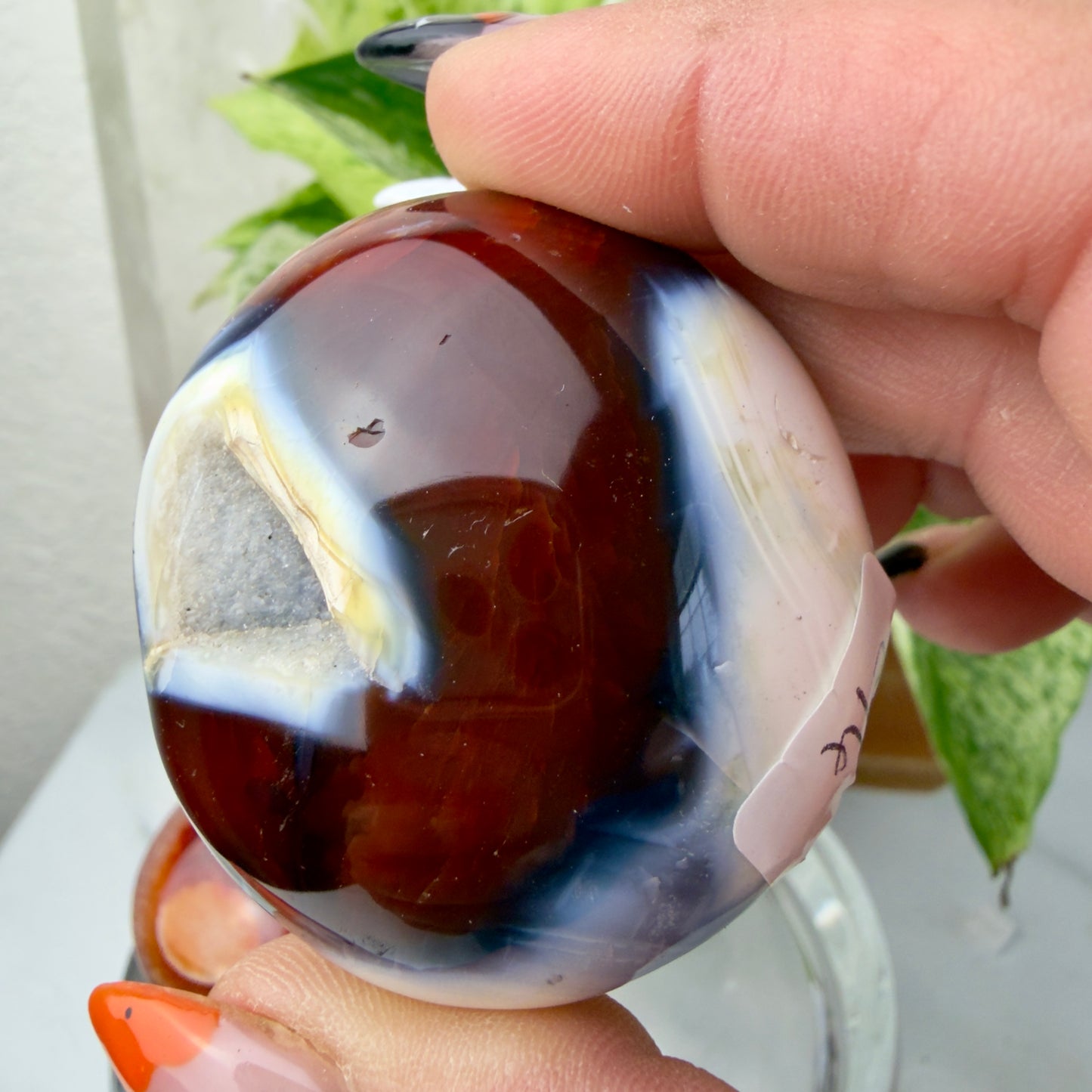 Carnelian Agate Palm Stones – Grounding Energy & Creative Fire (1.8–2”)