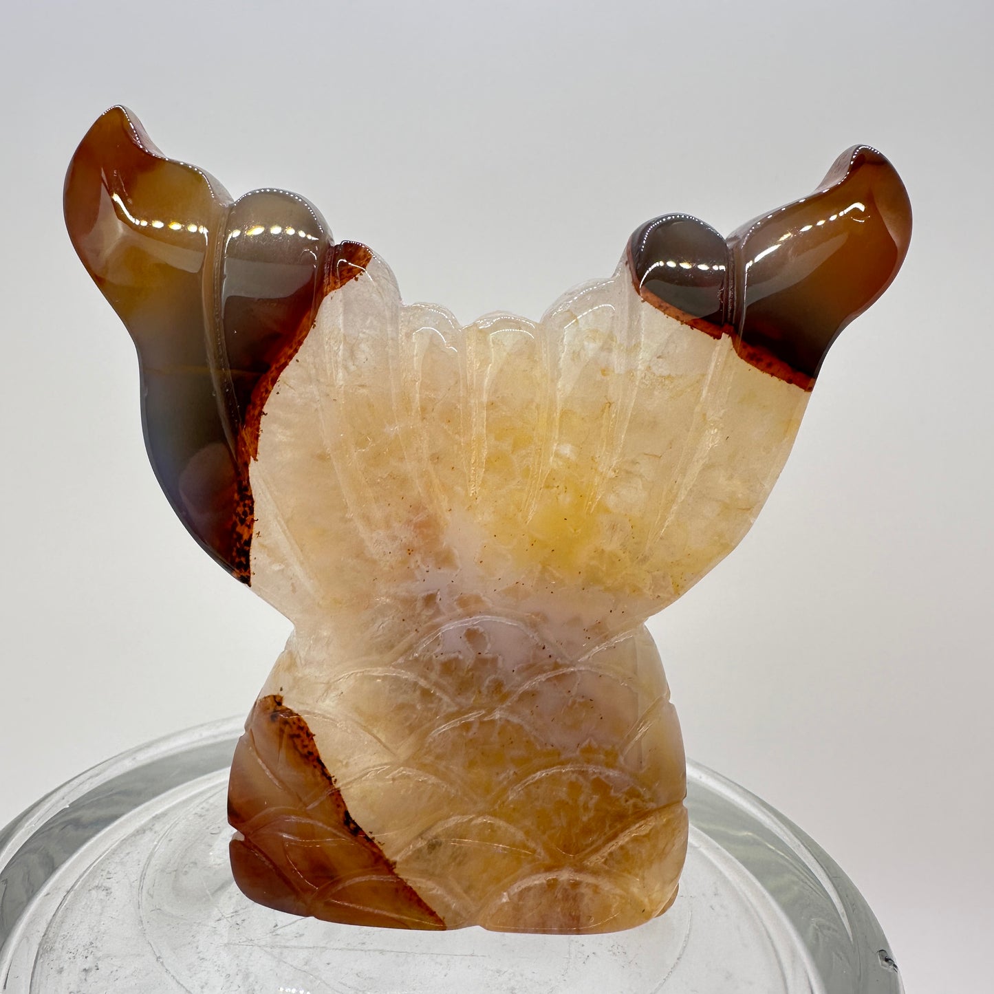 Druzy Agate Mermaid Tail - Katie's Mystic Crystals