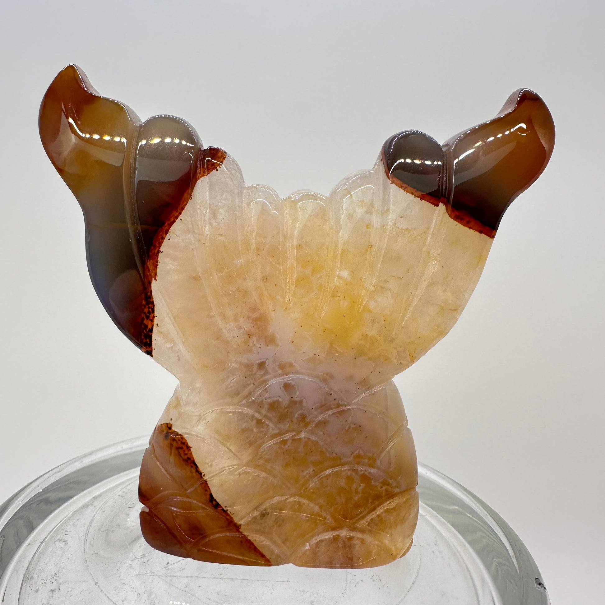 Druzy Agate Mermaid Tail - Katie's Mystic Crystals