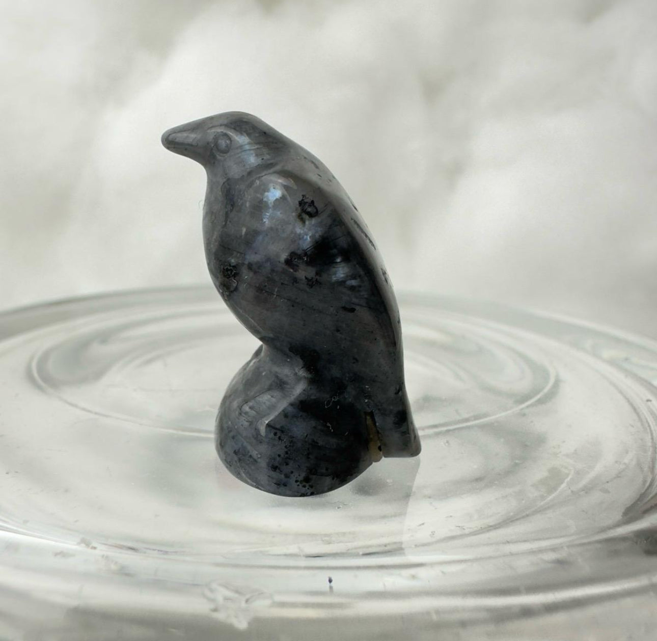 Crystal Baby Ravens - Katie's Mystic Crystals