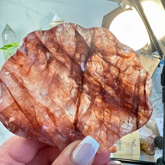 Fire Quartz Seashell-Shaped Dish — Approx. 4 inches Wide
Vitality | Clarity | Emotional Alchemy