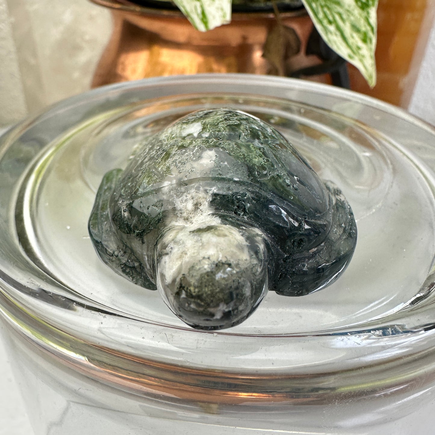 Moss Agate Sea Turtle
Grounding | Growth | Gentle Strength