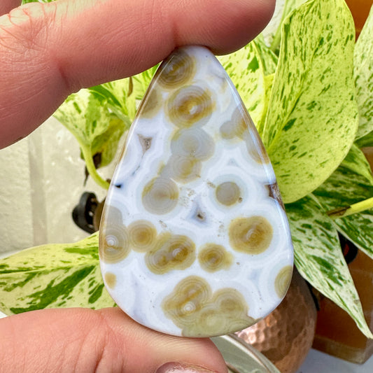 Ocean Jasper Cabs