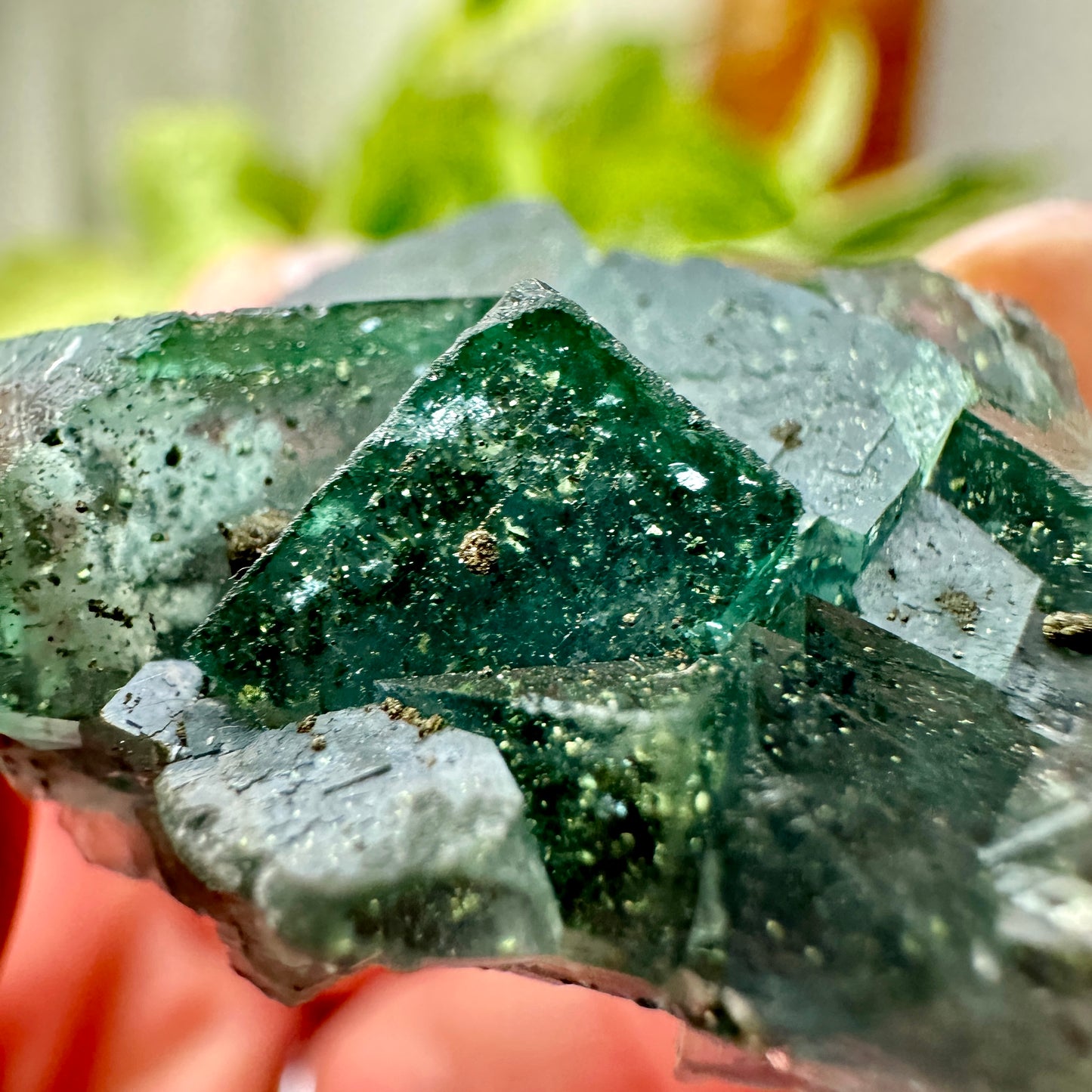 Cubic Blue-Green Fluorite with Natural Pyrite Specimens — Energetic Alchemy in Crystal Form