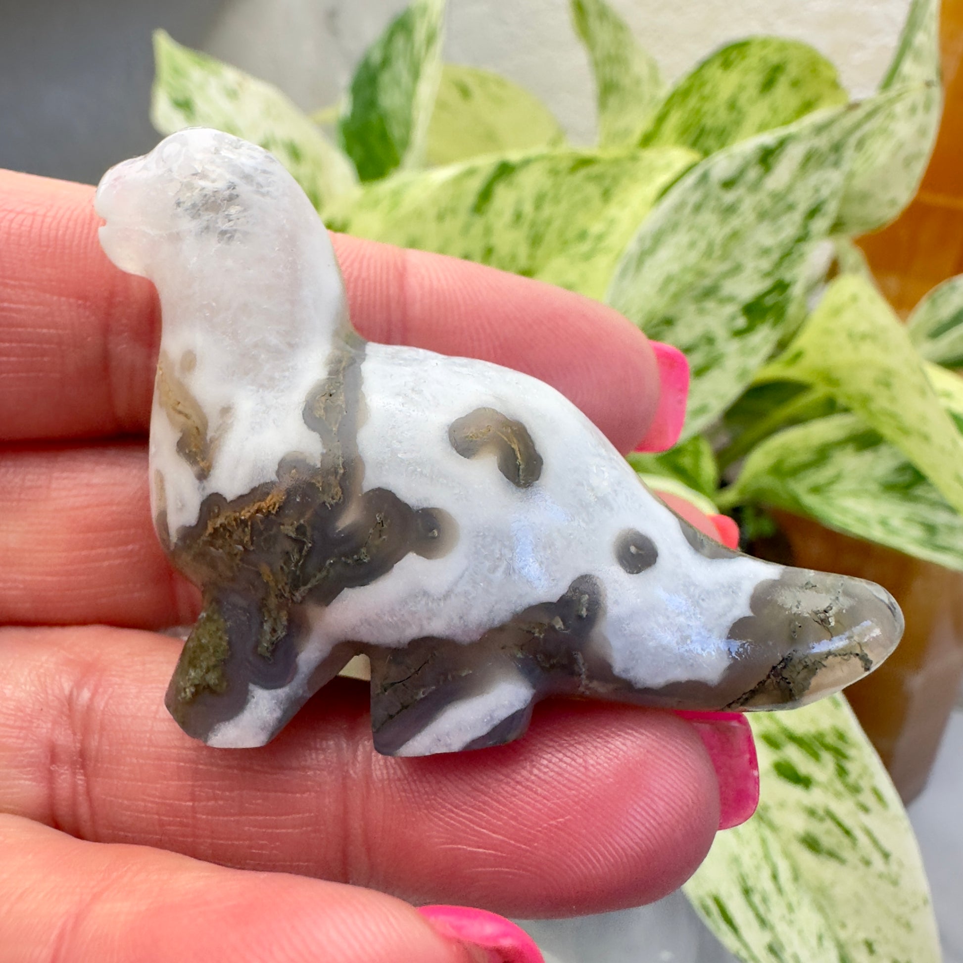 Moss Agate Long Neck Dino - Katie's Mystic Crystals