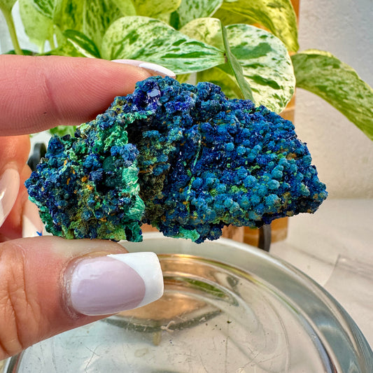 Azurite & Malachite Specimen — 36 grams | Morocco
Third Eye Activation | Transformation | Heart Healing
