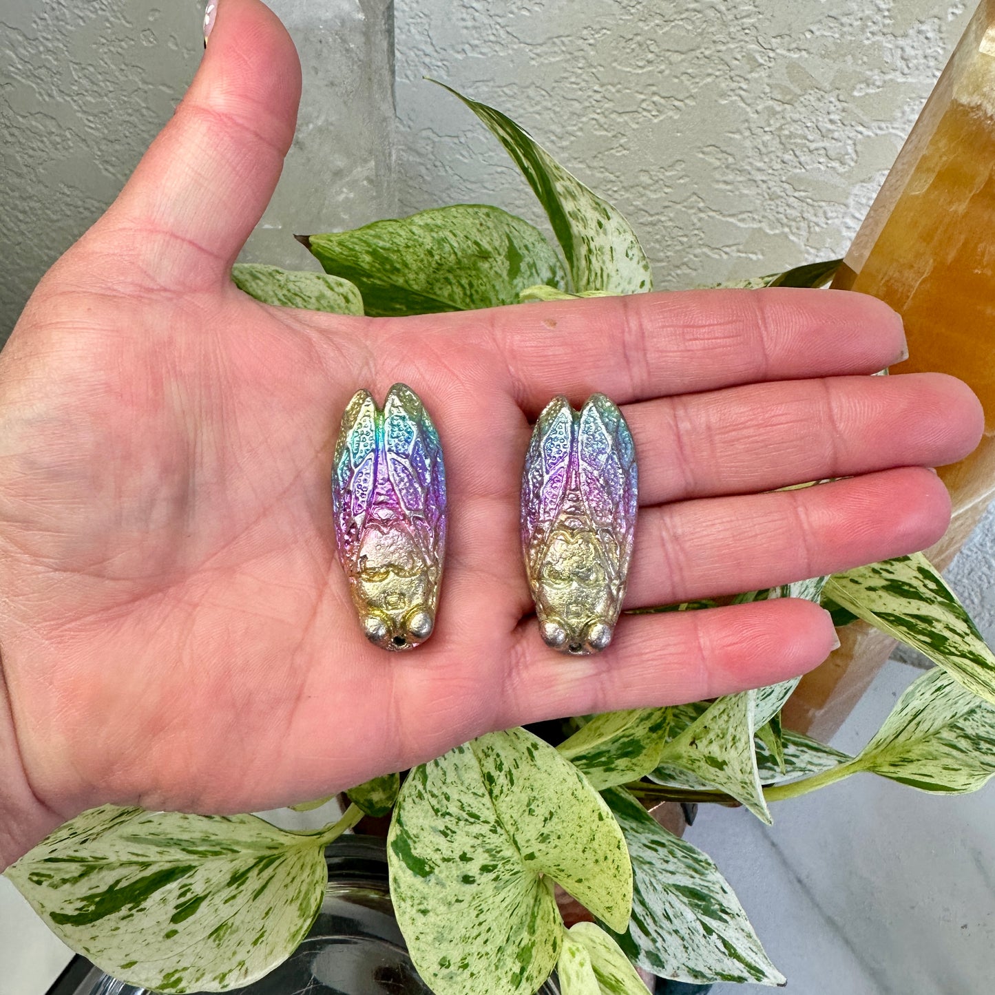 Bismuth Cicada - 1 inch