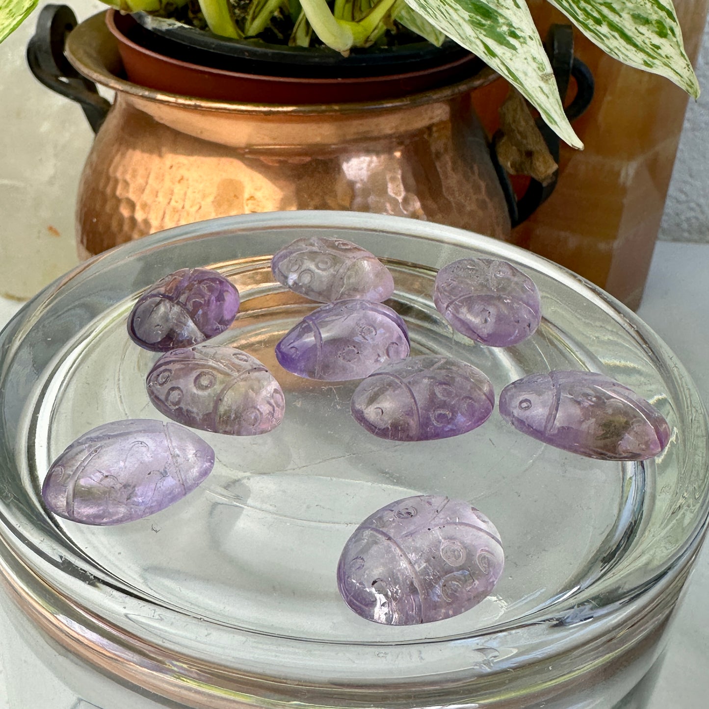 Imperfect Amethyst Lady Bugs